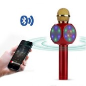 WS1816 Wireless Bluetooth Karaoke